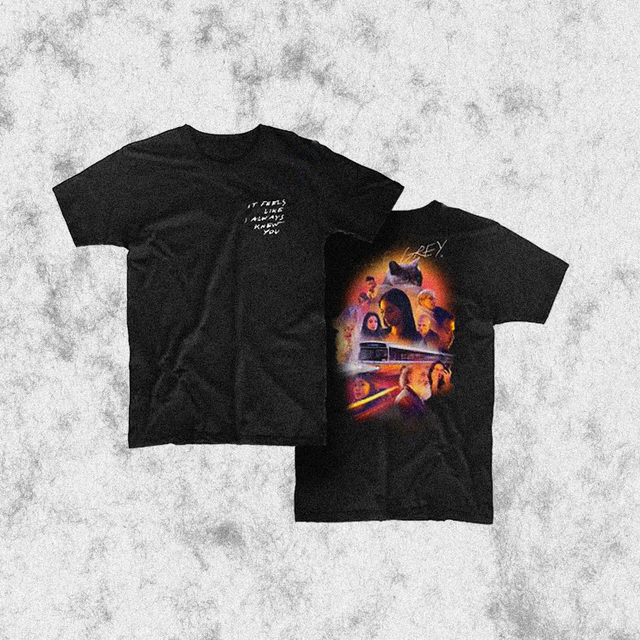 T-shirt Pale Grey - It feels like I always knew you