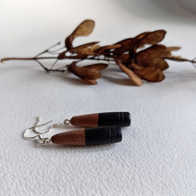 Boucles d&#039;oreilles bicolores