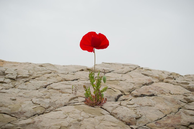 Mi, 22.10.2025 und Mi, 12.11.2025, 18:30 – 19:45 Uhr Bewegung und Resilienz