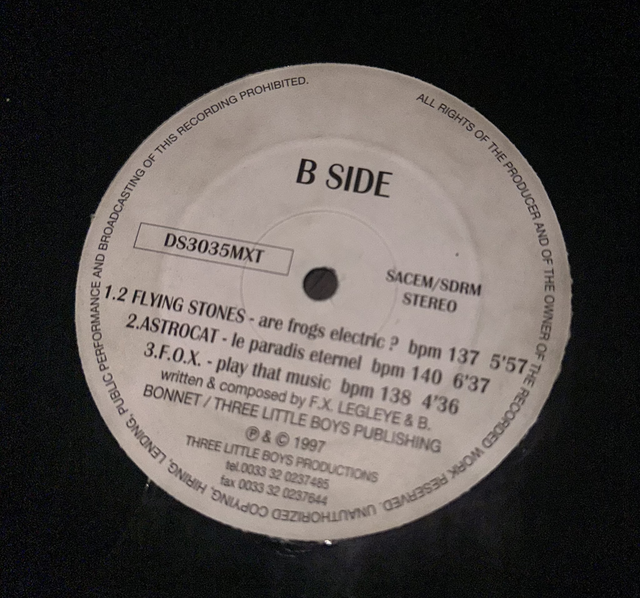 2 FLYING STONES - ARE FROGS ELECTRIC/A GREAT DAY...