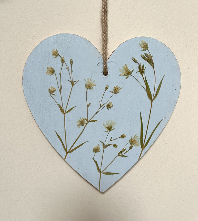 A Heart of Stitchwort