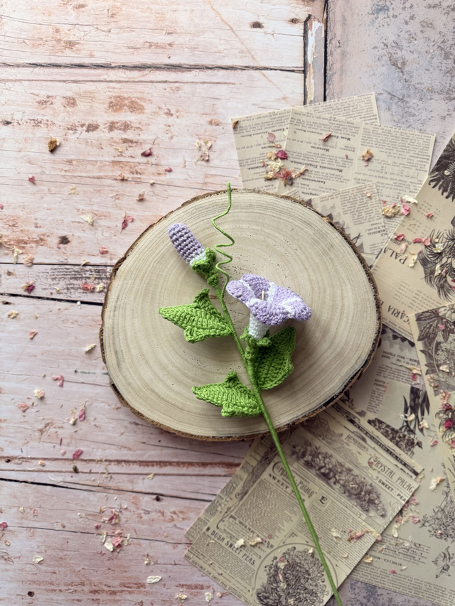 Gloire du Matin avec bourgeon (personnalisable pour créer votre bouquet)