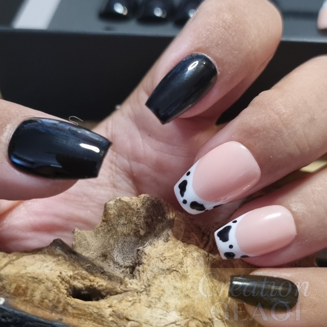 French dalmatien black little coffin xs