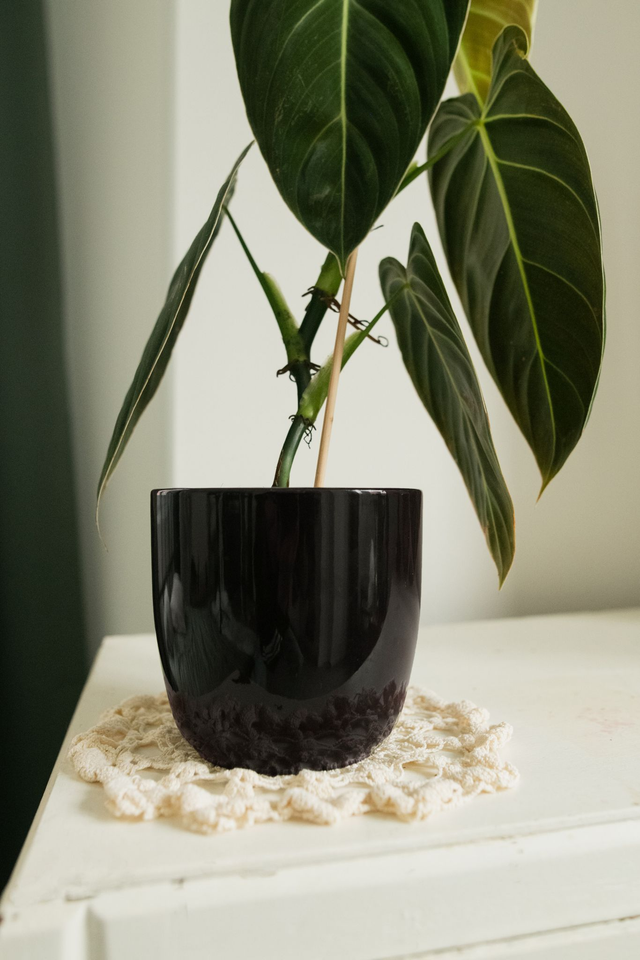 Black Out 🖤 Cache-pot