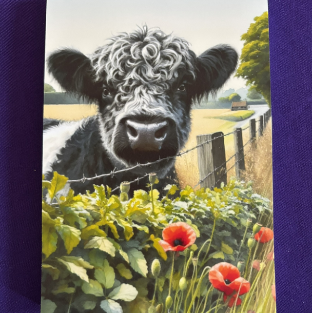 Plain Note Pad Cow black/white by wire fence