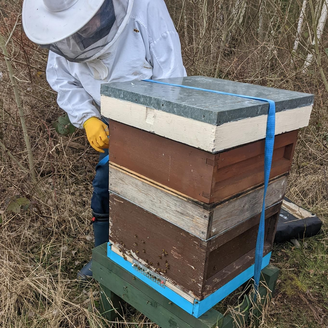 Adopt A Hive - Education 