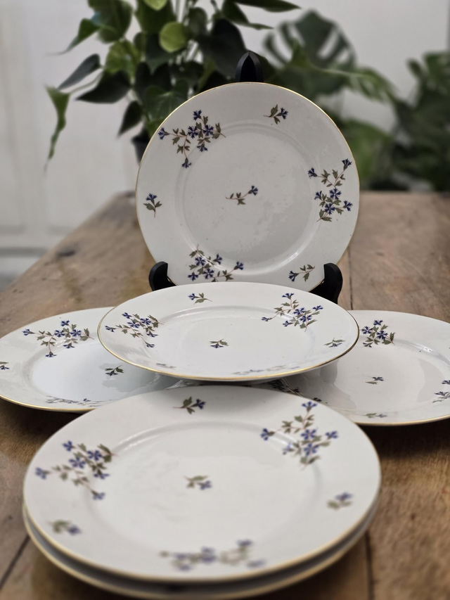 Assiettes à hors-d’œuvres Limoges 