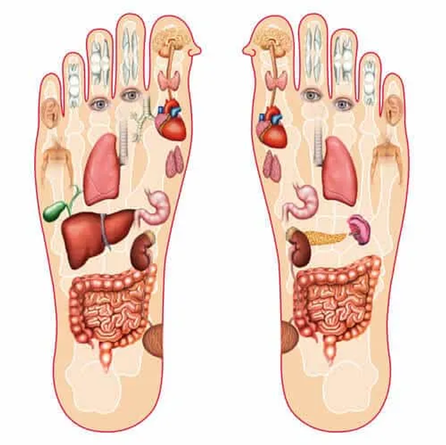 Reflexologia 