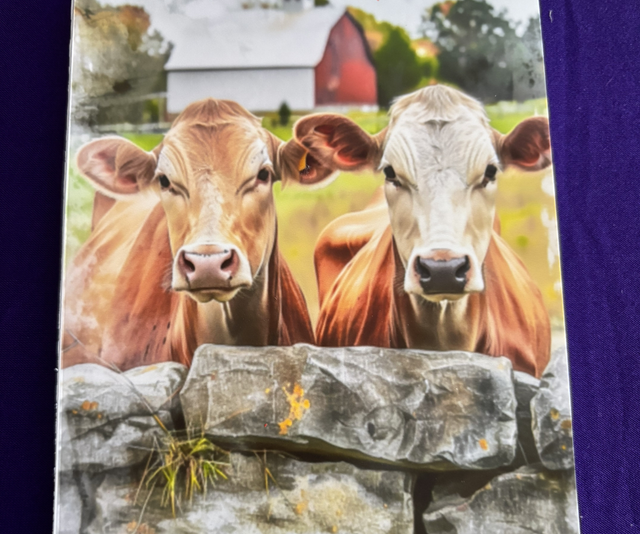 Plain Note Pad Cows brown at a stone wall 
