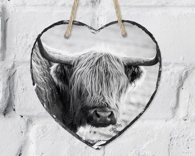 “Highland Cow” Heart Slate   