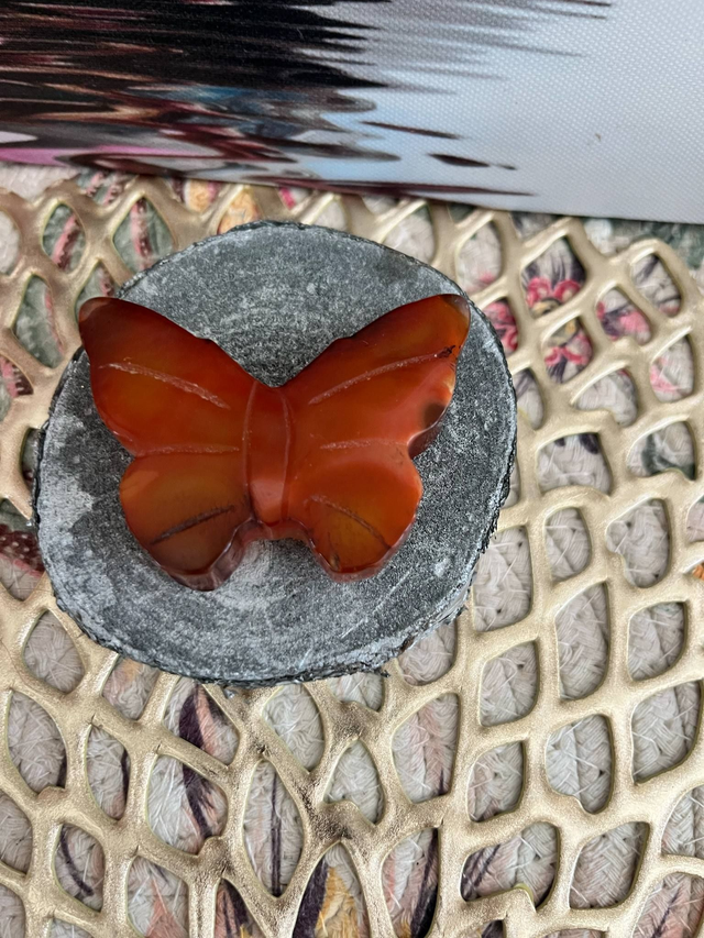 Papillon Cornaline orangé