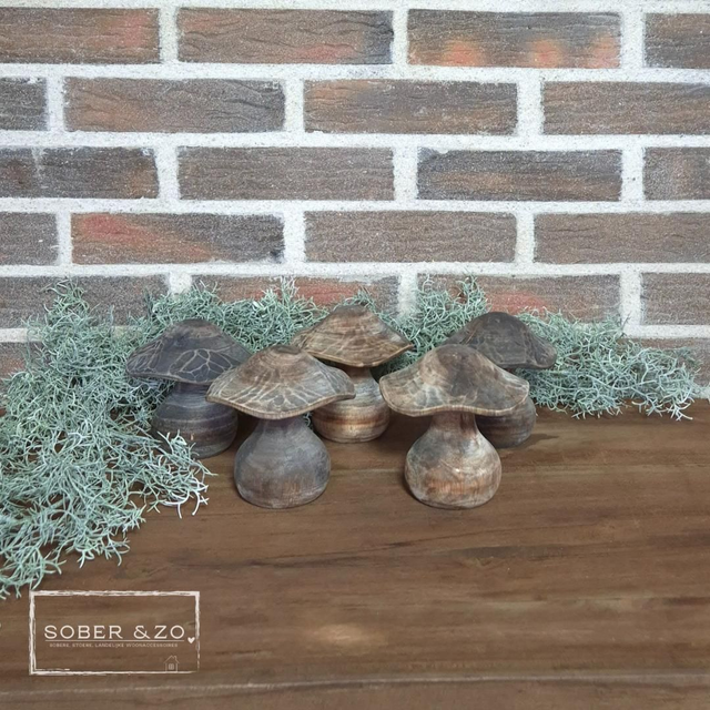 Paddenstoel hout 3
