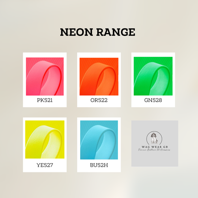 NEON Range BioThane® Standard Lead