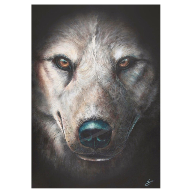 Loup Instinct
