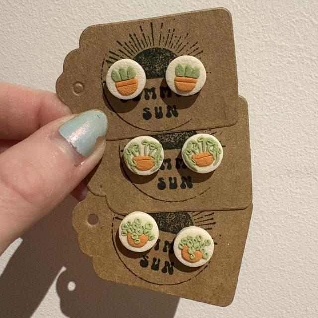 Succulent plant Stud Earrings set of 3