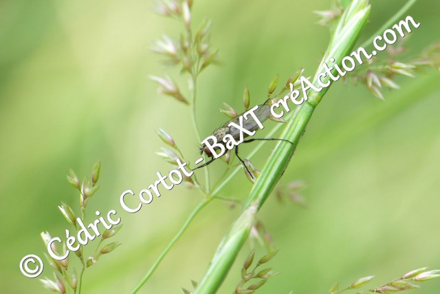 Impression sur alu dibond - Le petit monde du Vivant (ref 5981)