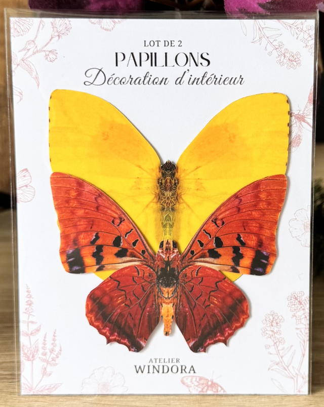 Lot de 2 Papillons Orange-Jaune | Décoratifs