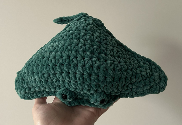 Dunkelgrüner kleiner Rochen