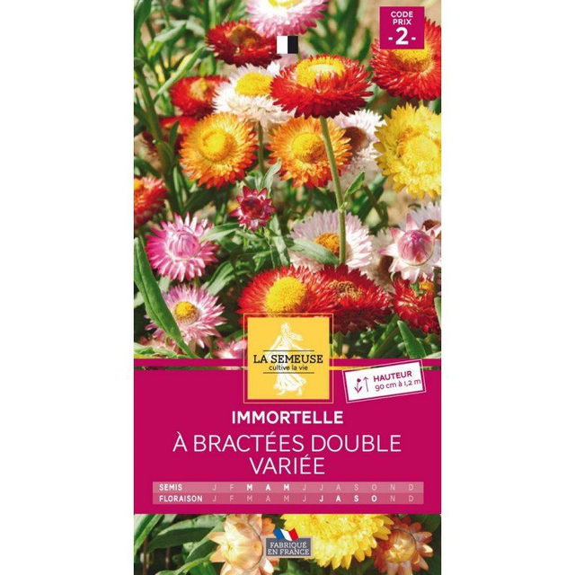 IMMORTELLE A BRACTEE DOUBLE VARIEE