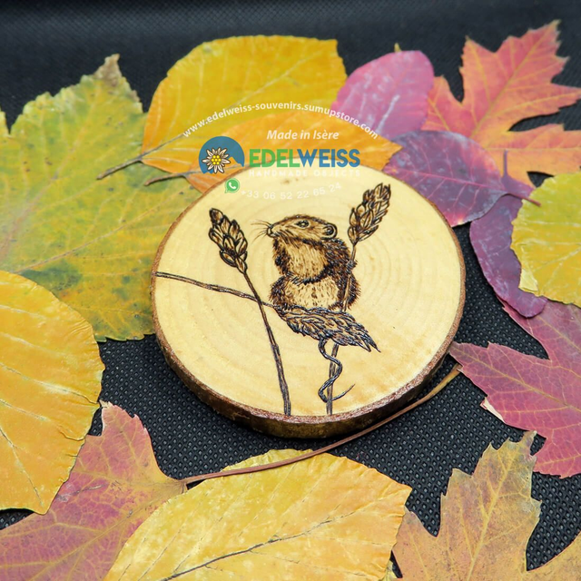 Souris avec plante à tige