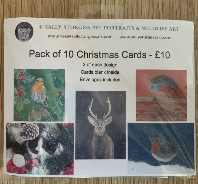 Pack of 10 Christmas Cards - 2 each of 5 designs