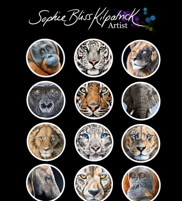 Adult Colouring Book - Close Up Designs