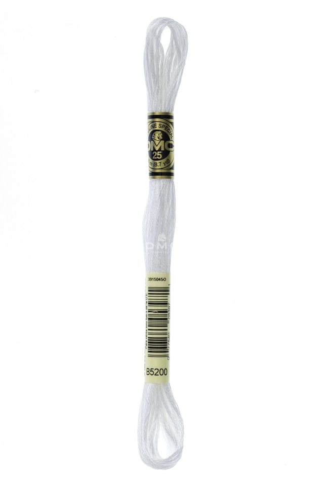 N°B5200 Mouliné Spécial DMC