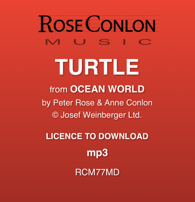 TURTLE  (from Ocean World by Peter Rose &amp; Anne Conlon)