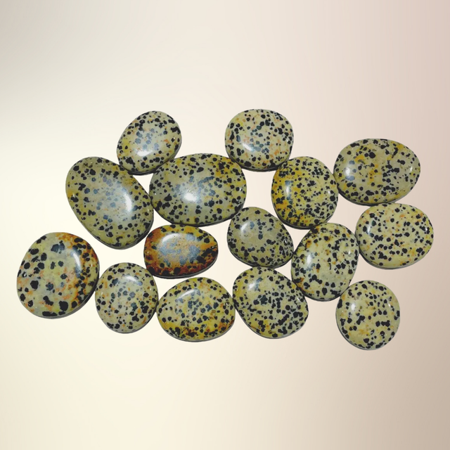 Dalmatiner Jaspis - Lommesten/disc