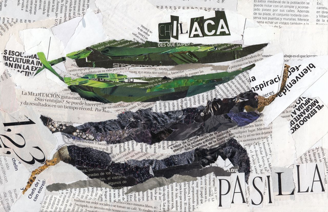 Chile chilaca-pasilla