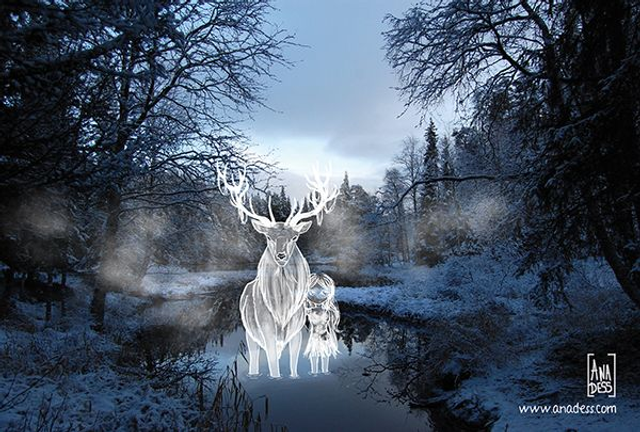 Pack cartes "La Traversée des Voiles" (Escapades animales) - Ana Dess