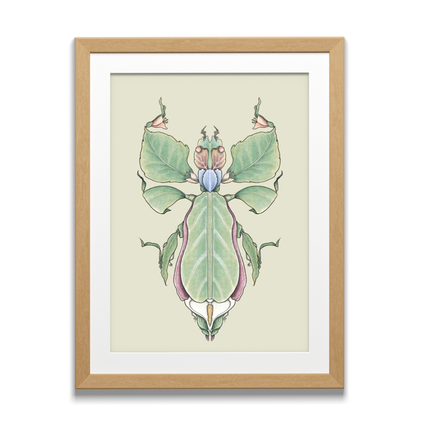 Art Print - Floral Bugs - Leaf Insect illustration