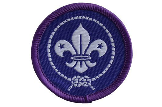 Pfadi International Aufnäher