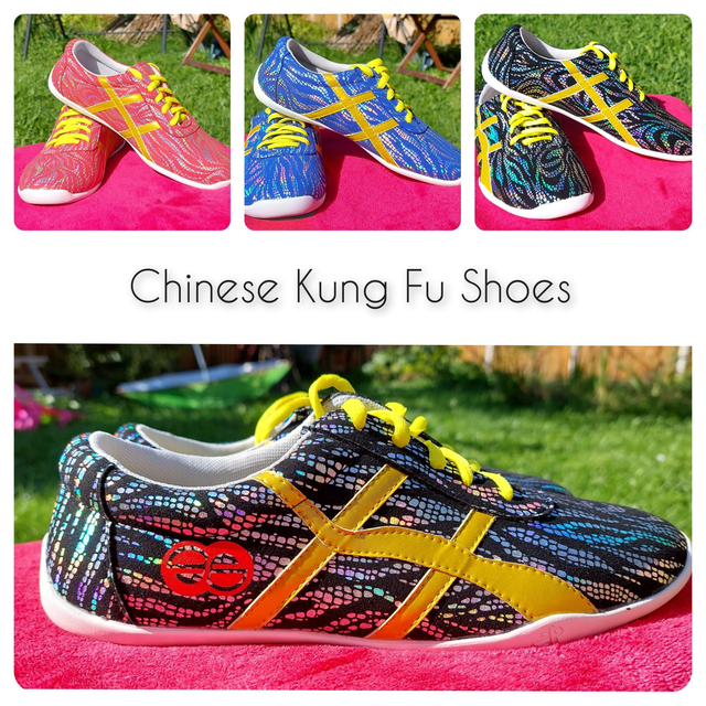 BLACK Professional Kung Fu/ Wushu/ Tai Chi Shoes