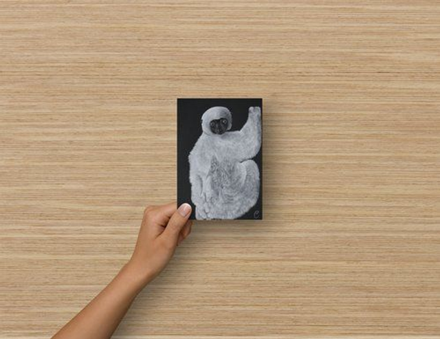 Carte Postale - Sifaka Soyeux (reproduction Aquarelle)