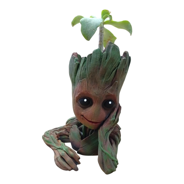 Groot pot plante grasse