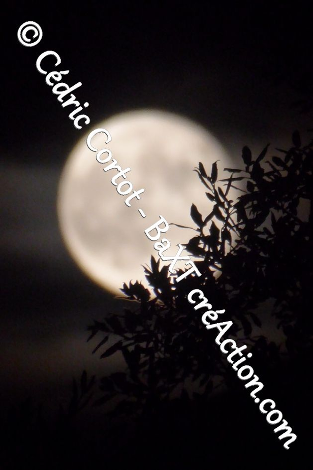 Impression sur alu dibond - Paysages et divers (ref P1170773)