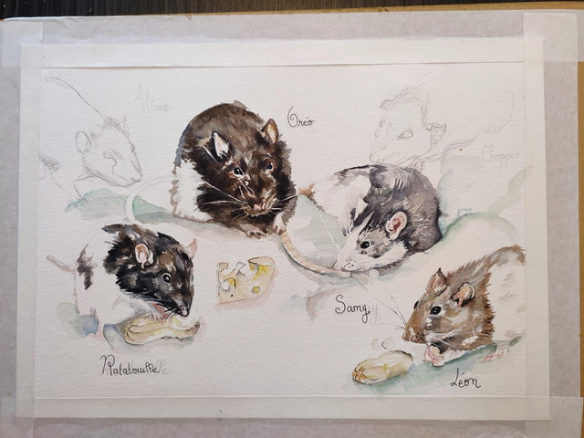 Acompte création papier 