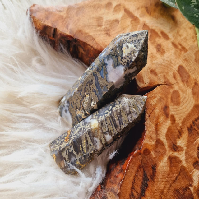 Moss and Pyrite Point 