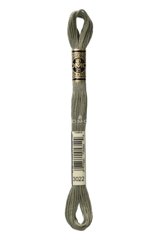 N°3022 Mouliné Spécial DMC