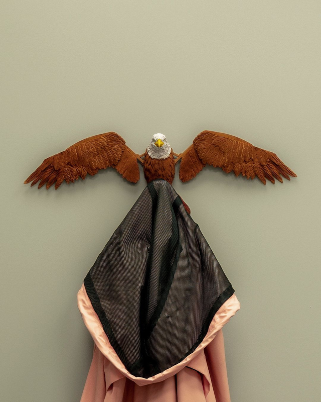 Aquila, le gestionnaire de garde-robe