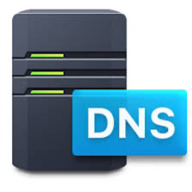 DNS Hotel (årlig betaling)