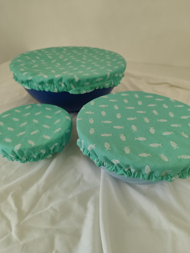 Charlotte alimentaire 