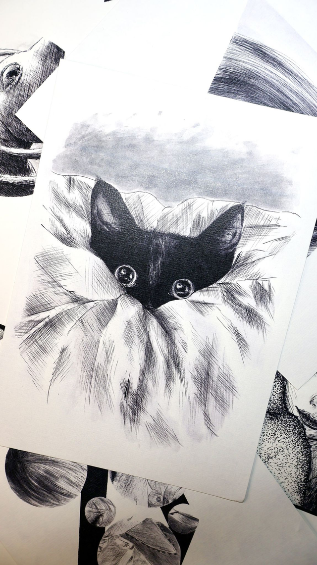 FRIPPON • SÉRIE PERSONNELLE 