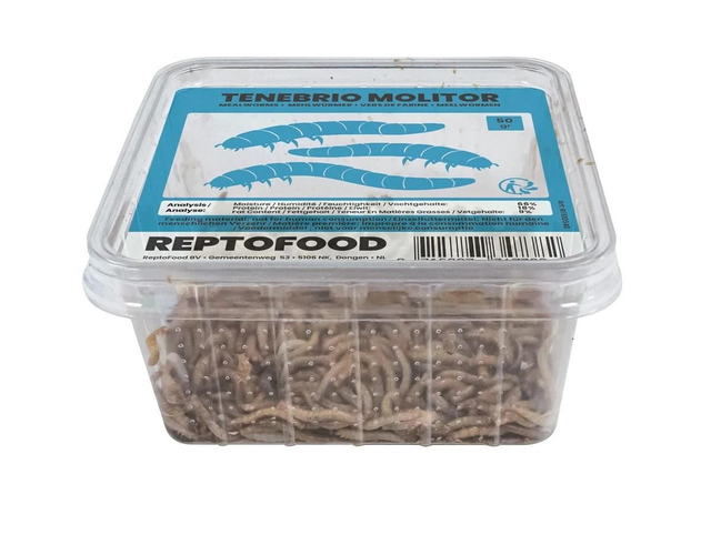 Repto mealworms