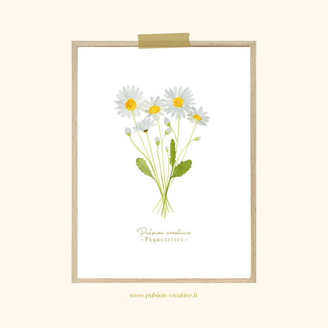 Affiche aquarelle 30x40 cm PÂQUERETTES (Sur commande)