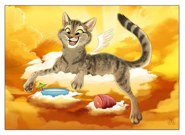 Beyond the Bridge (A4)