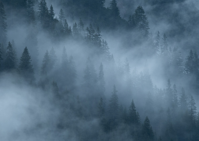 Berge im Morgennebel