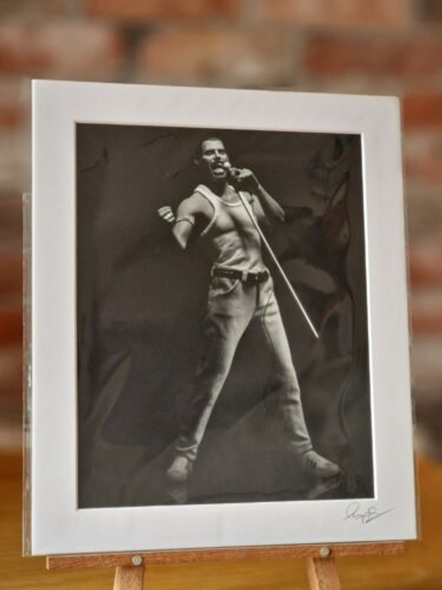 Freddie Mercury Live Aid