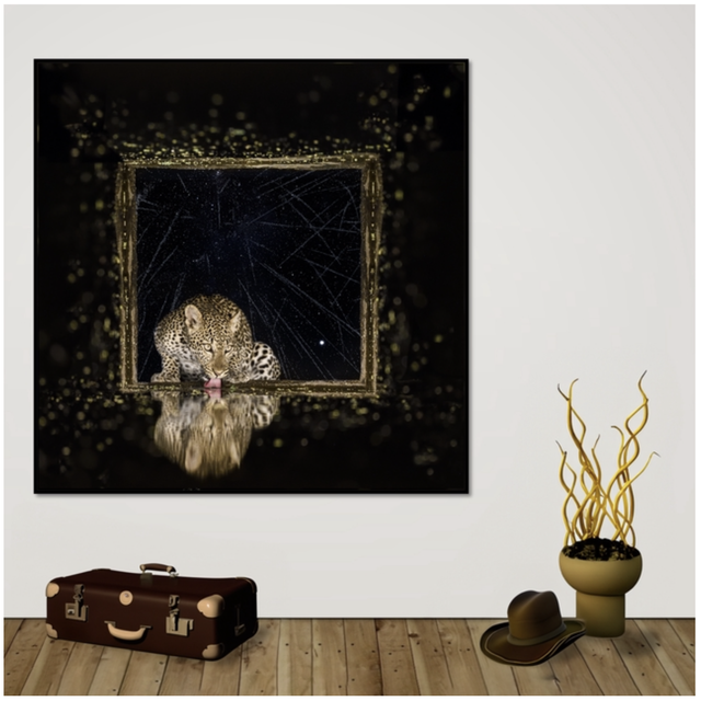 Tirage Dibond série Windows at night: "Léopard"